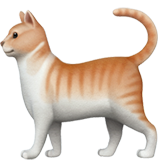 Cute cat